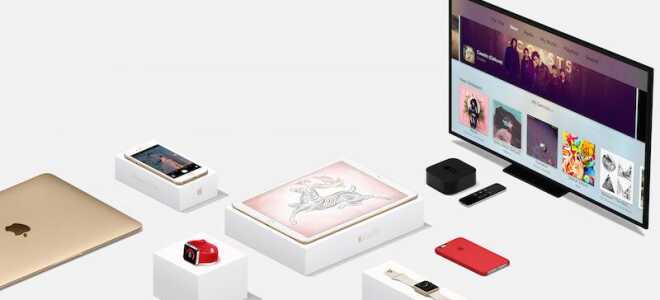 Вийшли нові бета-версії iOS 12.1.1, tvOS 12.1.1 і watchOS 5.1.2 для розробників