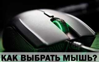 Як вибрати миша для комп’ютера або ноутбука