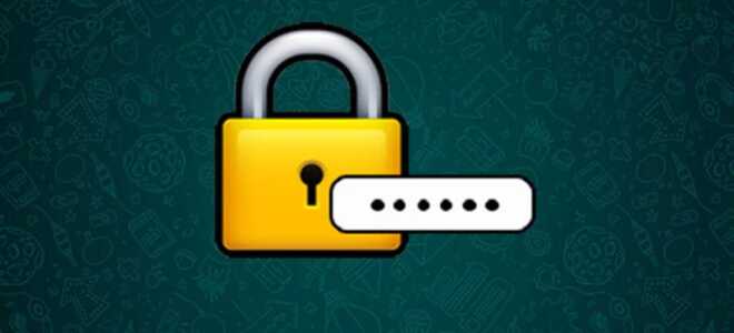 Як поставити пароль на Ватсап: штатні засоби і сторонні програми