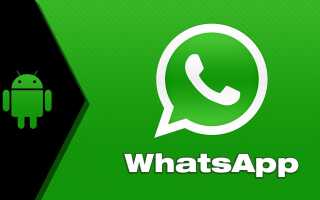 Фон в месенджері WhatsApp: 3 способи заміни шпалер і оформлення