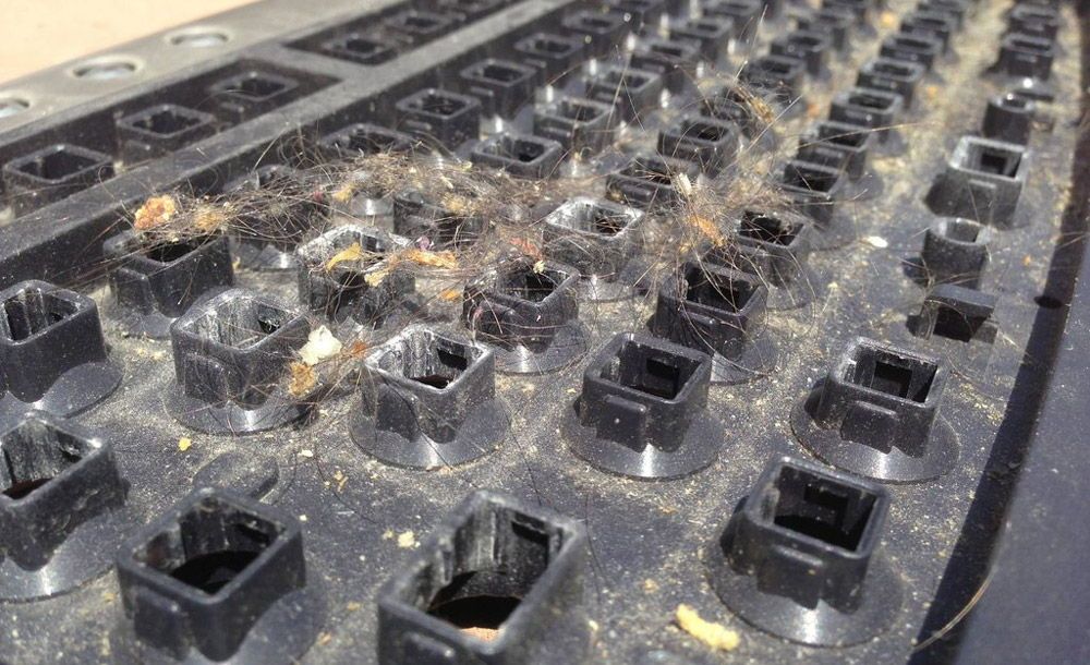 Чистка клавіатури під клавішами