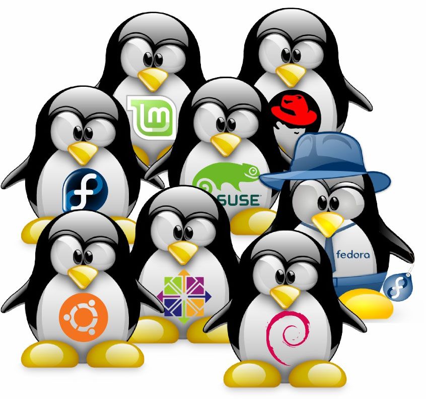 дистрибутиви Linux
