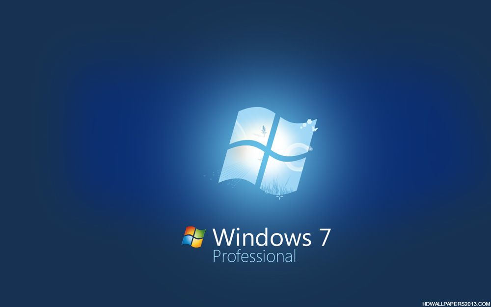 Версія Windows 7 Professional володіє великими можливостями