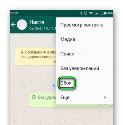 Ілюстрація на тему Фон в месенджері WhatsApp: 3 способи заміни шпалер і оформлення