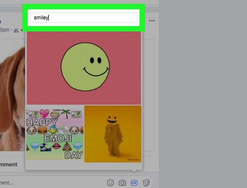 Ілюстрація на тему Як вставити гифку в Фейсбук: на комп' /></p><script data-noptimize=